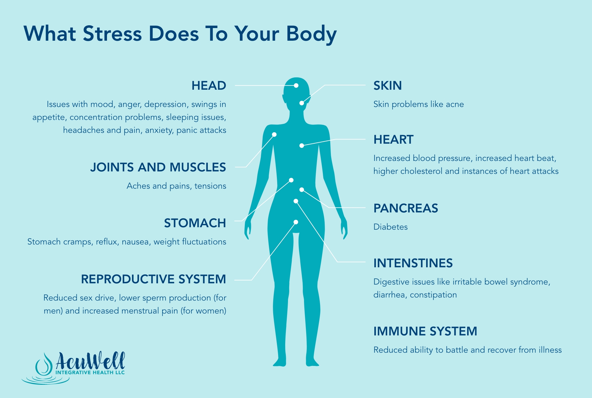 Diagram showing what stress does to your body
